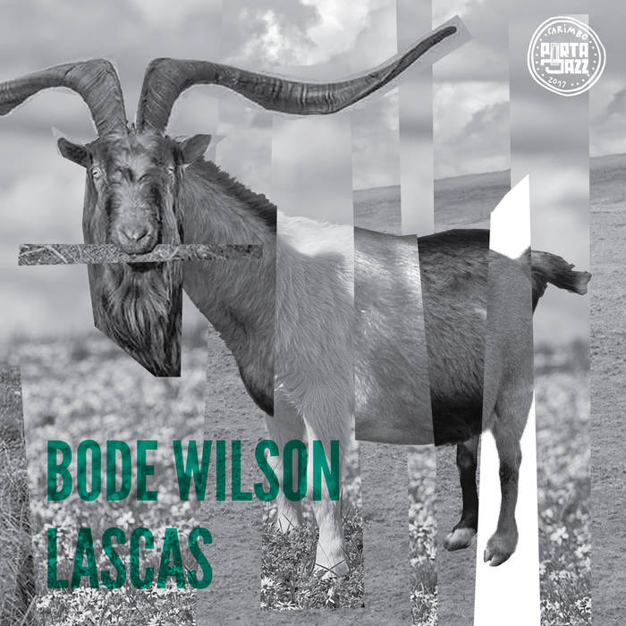 Capa disco Bode Wilson - Lascas